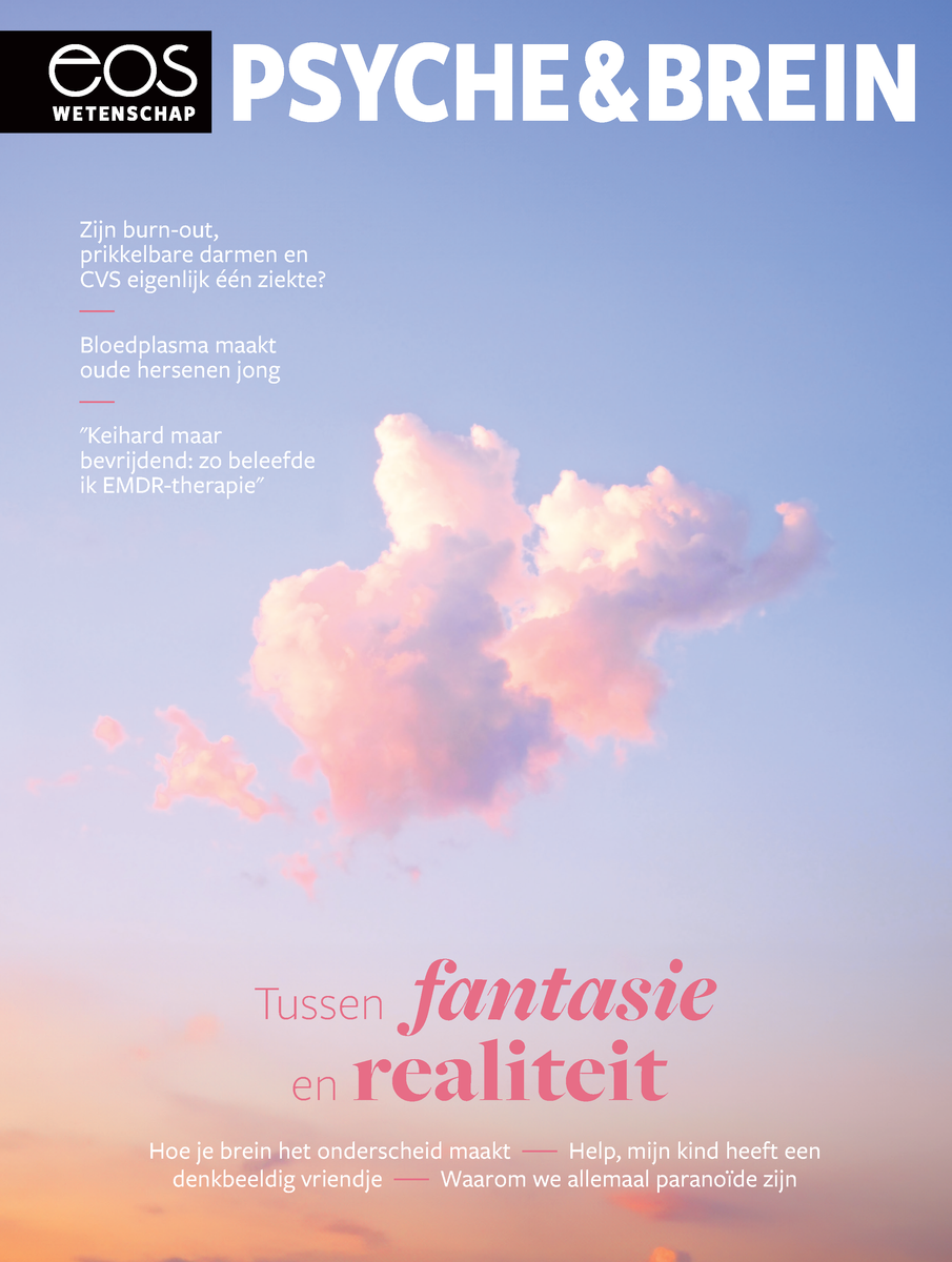 Psyche & Brein editie /2024 - Fantasie en realiteit – Tijdschriftenwinkel